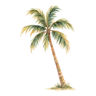 Palm tree